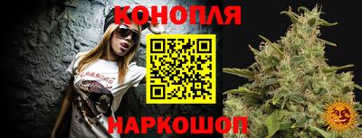 соль ск Будённовск