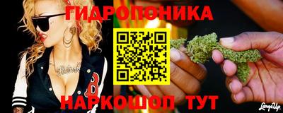 соль ск Будённовск