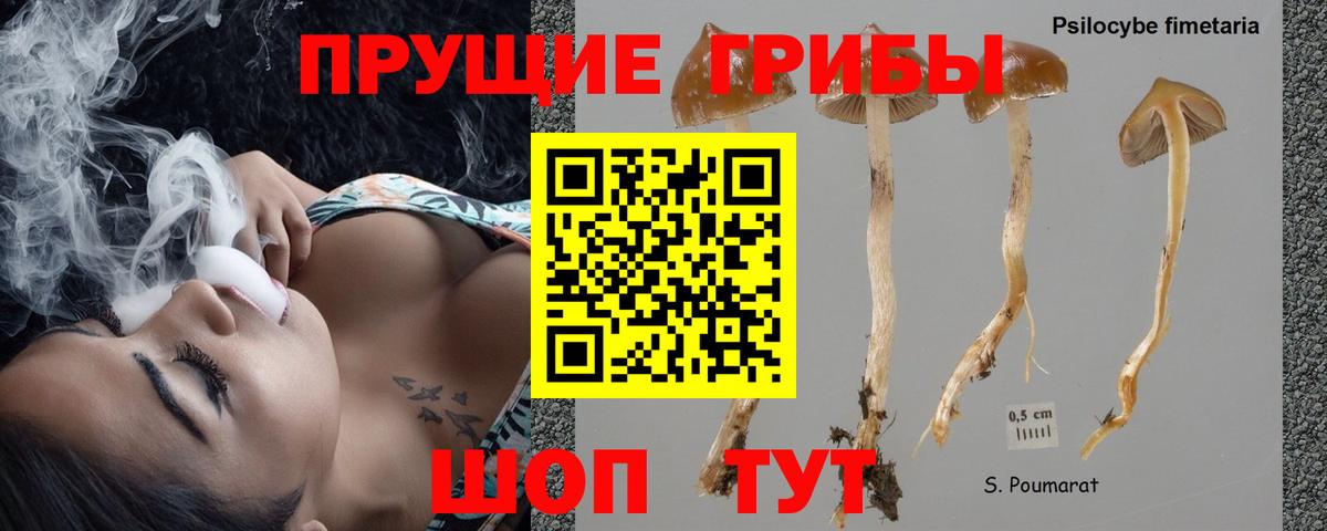 Галлюциногенные грибы Magic Shrooms  закладки  Галлюциногенные грибы мухоморы  Усть-Лабинск  Вход с VPN 
